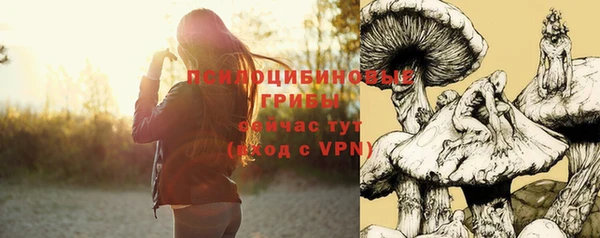 винт Арсеньев