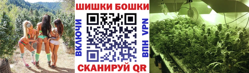 даркнет наркотические препараты Пермь Шишки марихуана OG Kush